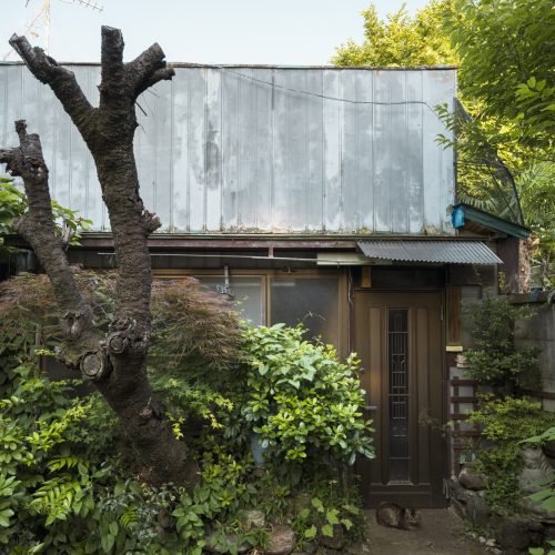 abandoned-house-with-green-plants