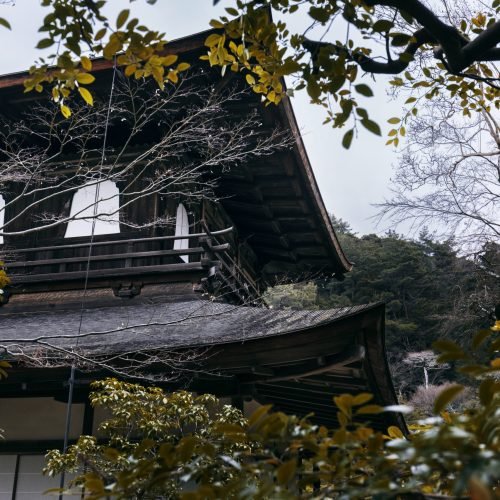 beautiful-japanese-garden