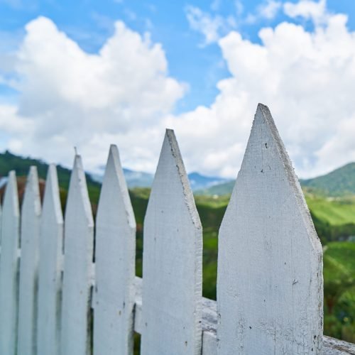 close-up-white-wooden-fence