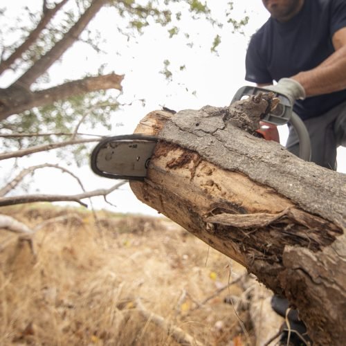 A closeup of a lumberjack with a chainsaw in a forest
