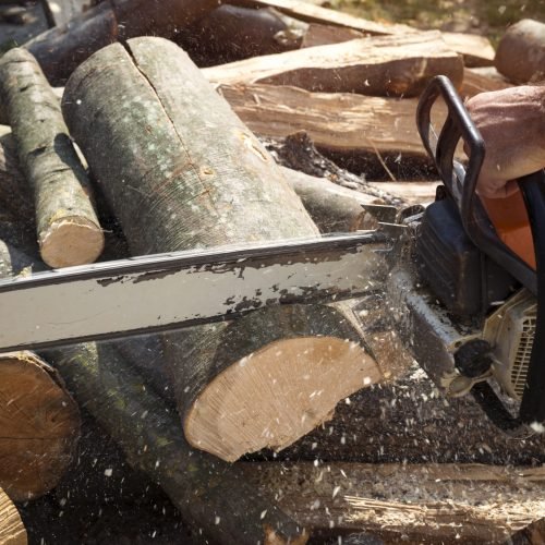 Lumberjack cutting wood with chainsaw.