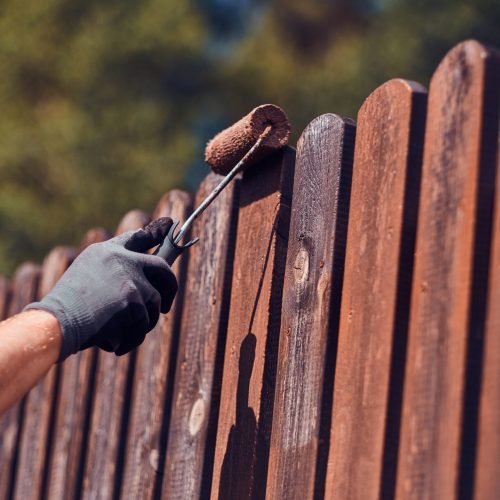 Man in protective gloves is painting wooden fence in bright summer day.