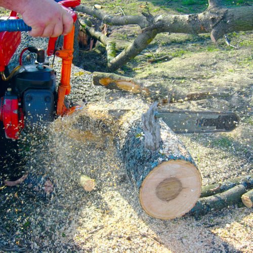 The man sawing the firewoods by petrol saw