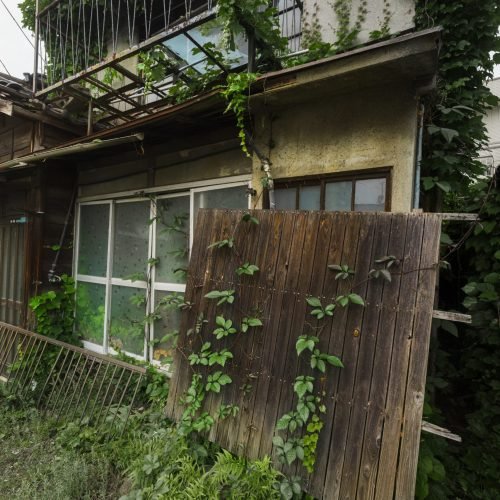 side-view-abandoned-house-with-plants