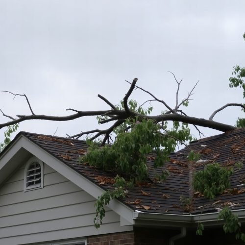 tree-damage-roof-after-storm