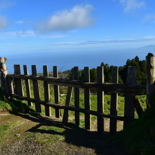 Wooden fence gate at the edge of a field.
